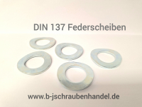 Federscheiben ( DIN 137 A + B)