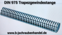 Gewindestangen DIN 975 Stahl blank mit Trapezgewinde /Trapezgewindespindel Länge: 1 m