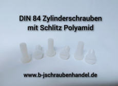100 Stück Kunststoff (Polyamid) Zylinderschrauben mit Schlitz DIN 84 - M 4 x 8 mm