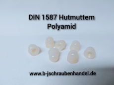 100 Stück Sechskant-Hutmuttern DIN 1587 hohe Form aus Kunststoff (Polyamid) - M 8