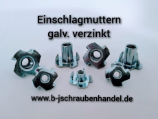Einschlagmuttern M 4x8 galv. verzinkt VE 50 Stk. Sonderpreise