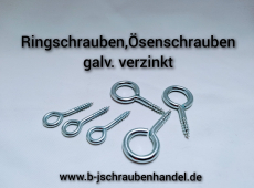 Ringschrauben Schraubhaken rund galv. verzinkt 25x 8 mm VPE 100 Stück