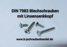 DIN 7983 Stahl 2,9 x 6,5 -C-H galv. verzinkt passiviert // 2000 Stück