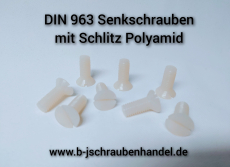 DIN 963 Senkschrauben mit Schlitz Polyamid M 3 x 6 (100 Stück)