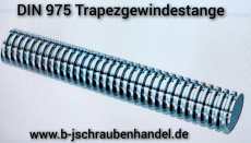 DIN 975 Gewindestangen Stahl blank mit Trapezgewinde/Trapezgewindespindel TR 20 x 4 (1 Stück)