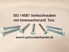 ISO 14581 - 4.8 Senkkopfschrauben mit Innensechsrund I-Stern galv. verzinkt M 3 x 5 T10 (2.000 Stück)