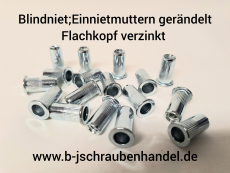 Blindnietmuttern/Einnietmuttern gerändelt Stahl verzinkt Flachkopf Rundschaft M6 (Nietbereich:3,0-5,5mm) (5 Stück)