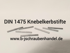 DIN 1475 Knebelkerbstifte Edelstahl A2 3,0 x 16 (50 Stück)