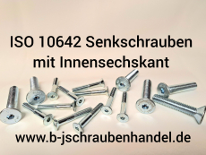 ISO 10642 (DIN 7991) - 8.8 Senkschauben mit Innensechskant galv. verzinkt M 5 x 30 (100 Stück)