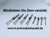 Gesipa Blindnieten Alu Standard Niet Alu Dorn galv. verzinkt DIN 7337 3,2 x 14 Flachkopf Nietdorn korrodiert 500 Stück
