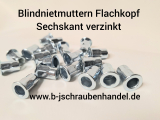 Blindnietmuttern/Einnietmuttern Flachkopf Sechskant verzinkt M 6 Nietbereich: 0,5-3,5mm (10 Stück)
