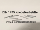 DIN 1475 Knebelkerbstifte Edelstahl A2 5,0 x 20 (50 Stück)