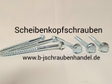 Sechskant Holzschrauben Scheibenkopfschrauben ähnl. DIN 571 galv. verzinkt 8 x 120 (100 Stück)