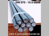 Gewindestangen DIN 975 - 10.9 Stahl blank M 5 x 1.000 mm (1 Stück)