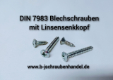 DIN 7983 A 2 2,9 x 9,5 -C-H // 1000 Stück