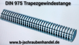 DIN 975 Gewindestangen Stahl blank mit Trapezgewinde/Trapezgewindespindel TR 12 x 3 (1 Stück)