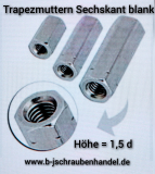 Trapezgewindemutter TR 16 x 4 x SW 27 x L 24 Stahl blank rechts (1 Stück)