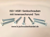 ISO 14581 - 4.8 Senkkopfschrauben mit Innensechsrund I-Stern galv. verzinkt M 3 x 4 T10 (2.000 Stück)