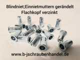 Blindnietmuttern/Einnietmuttern gerändelt Stahl verzinkt Flachkopf Rundschaft M10 (Nietbereich:3,0-6,0mm) (5 Stück)