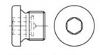 Verschlussschrauben ähnl. DIN 908 G 1/8 galv. verzinkt mit zylindrischem Feingewinde mit NBR-Dichtung  (1 Stück)